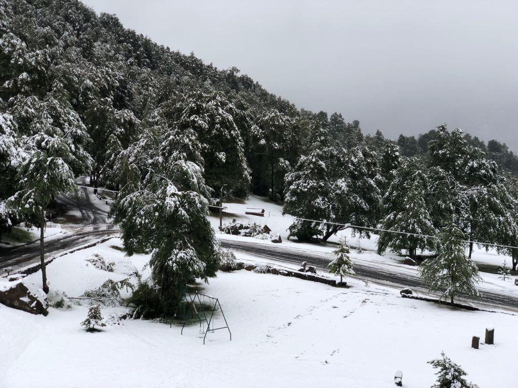 Resort Thermal & Malalcahuello